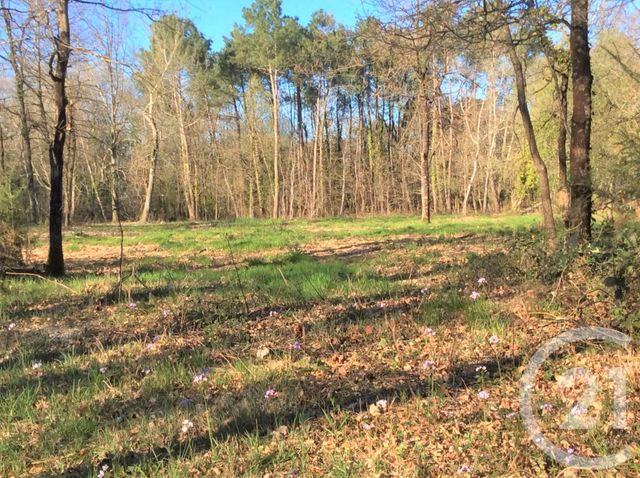 terrain à vendre - 877.0 m2 - BERGERAC - 24 - AQUITAINE - Century 21 Immotion