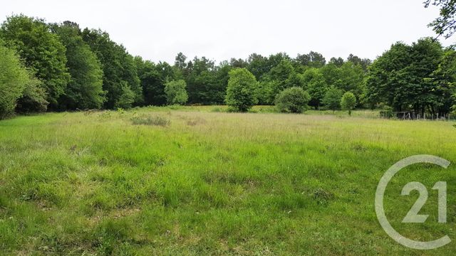 terrain à vendre - 7919.0 m2 - ST SAUVEUR - 24 - AQUITAINE - Century 21 Immotion