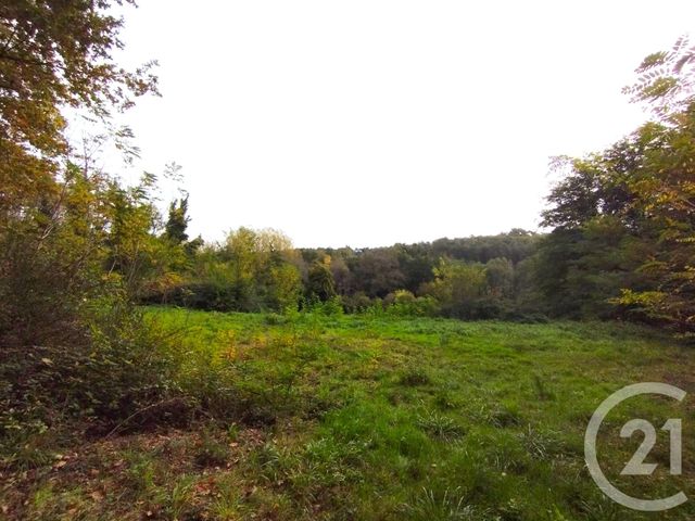 Afficher la photo en grand terrain à vendre - 4890.0 m2 - MAURENS - 24 - AQUITAINE - Century 21 Immotion