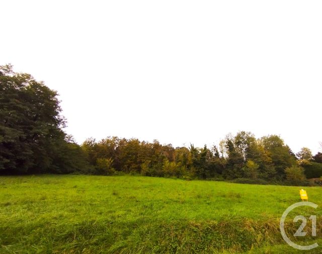 Afficher la photo en grand terrain à vendre - 4890.0 m2 - MAURENS - 24 - AQUITAINE - Century 21 Immotion