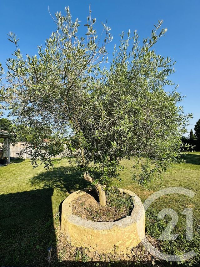 maison à vendre - 6 pièces - 160.0 m2 - MOULEYDIER - 24 - AQUITAINE - Century 21 Immotion