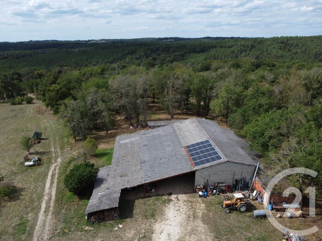 maison à vendre - 13 pièces - 343.8 m2 - ST PIERRE D EYRAUD - 24 - AQUITAINE - Century 21 Immotion