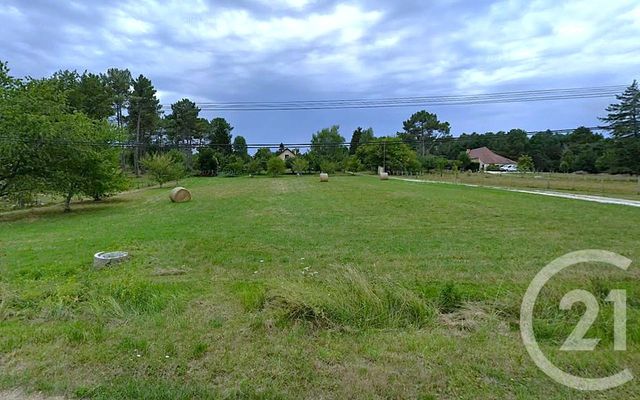 terrain - LAVEYSSIERE - 24